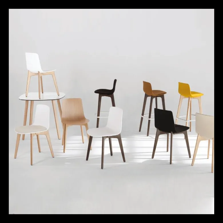 Lottus Enea® Chaise design en polypropylène et pieds bois